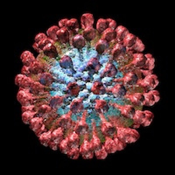The deadly Lassa Fever Virus